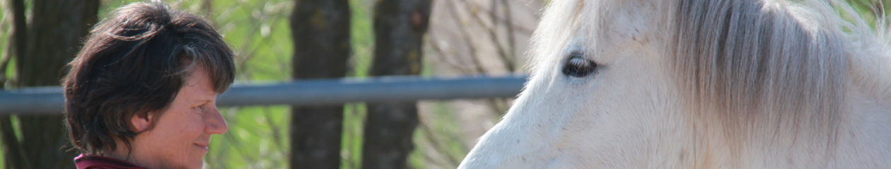 En Synergie avec le Cheval